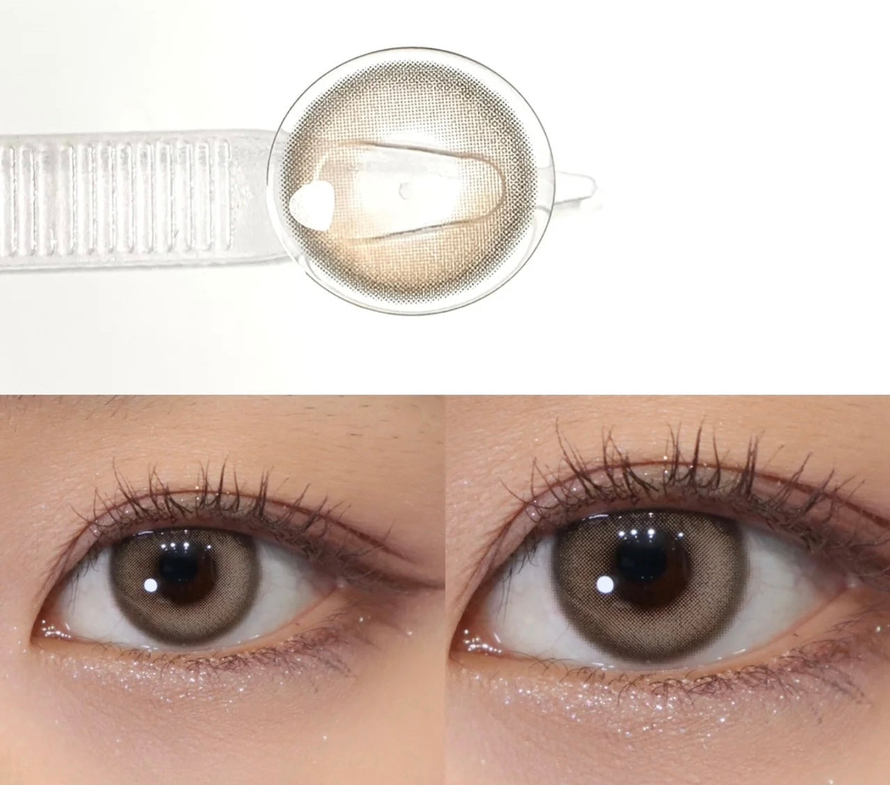 Allecon Honey Bulb 楓糖小燈泡 1 Year 一片裝