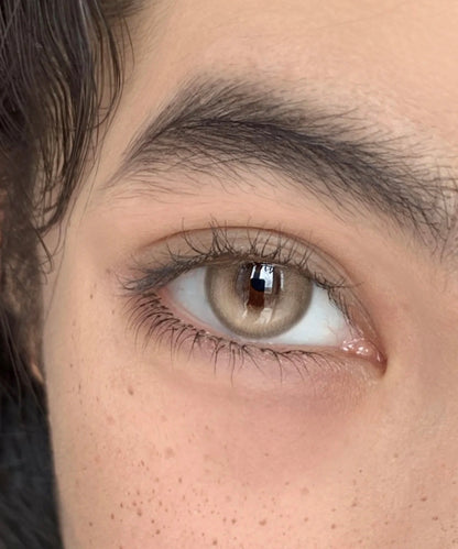 Allecon Honey Bulb 楓糖小燈泡 1 Year 一片裝