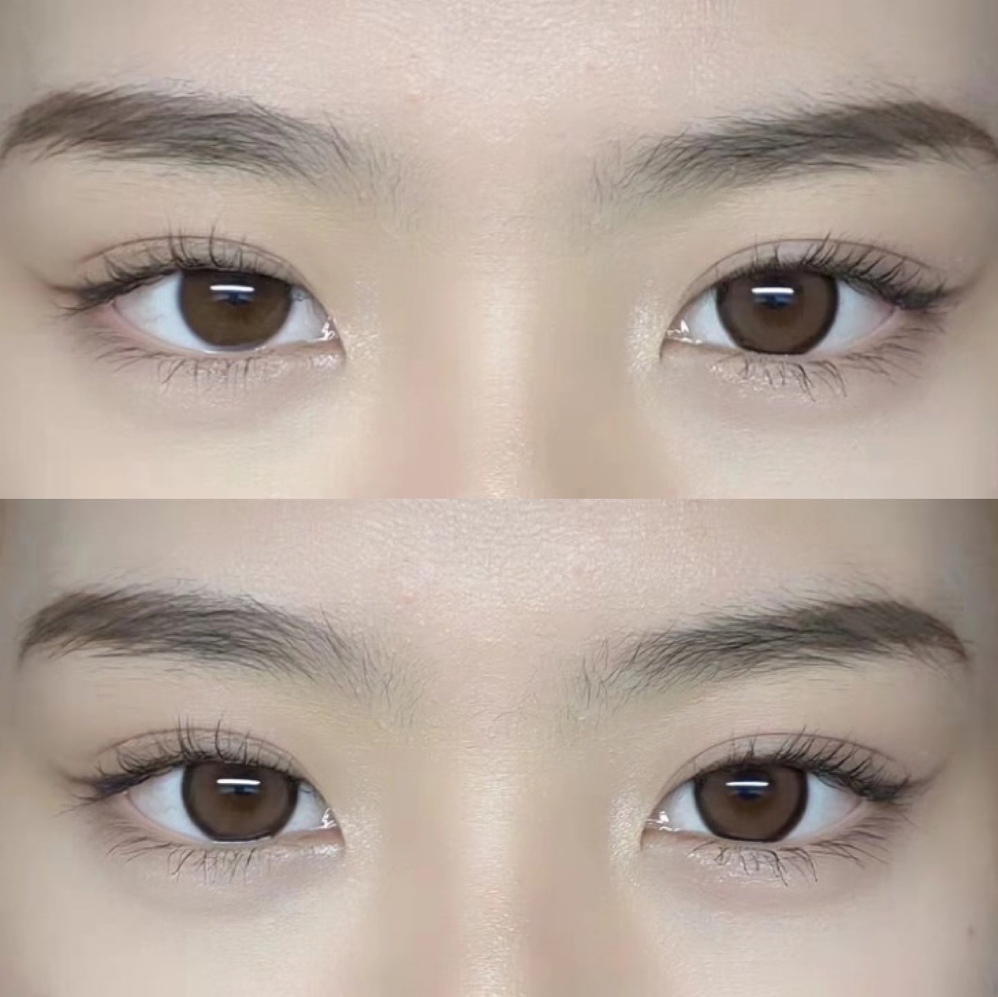 Aromi Joy Brown 麻球棕 1 Year 一片裝