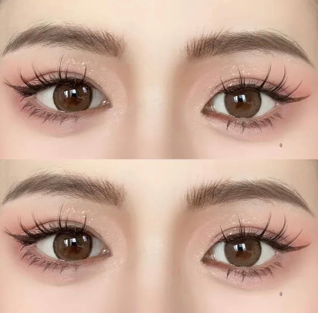 Moriiu Nono Brown 秋日來信