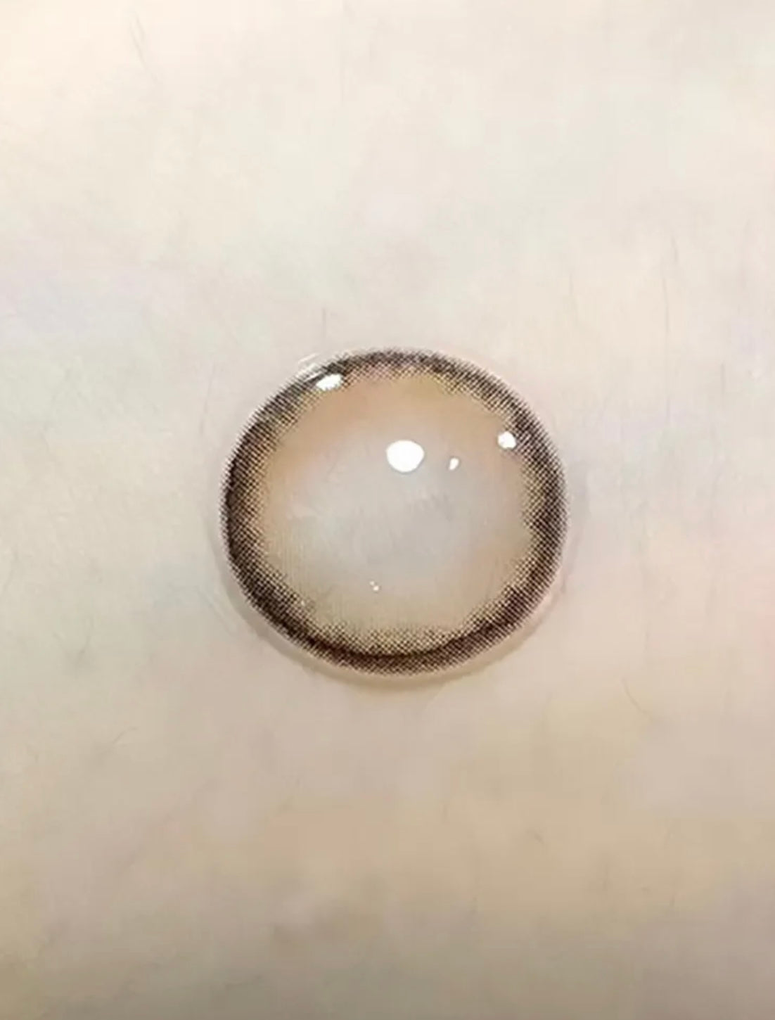 Moriiu Nono Brown 秋日來信