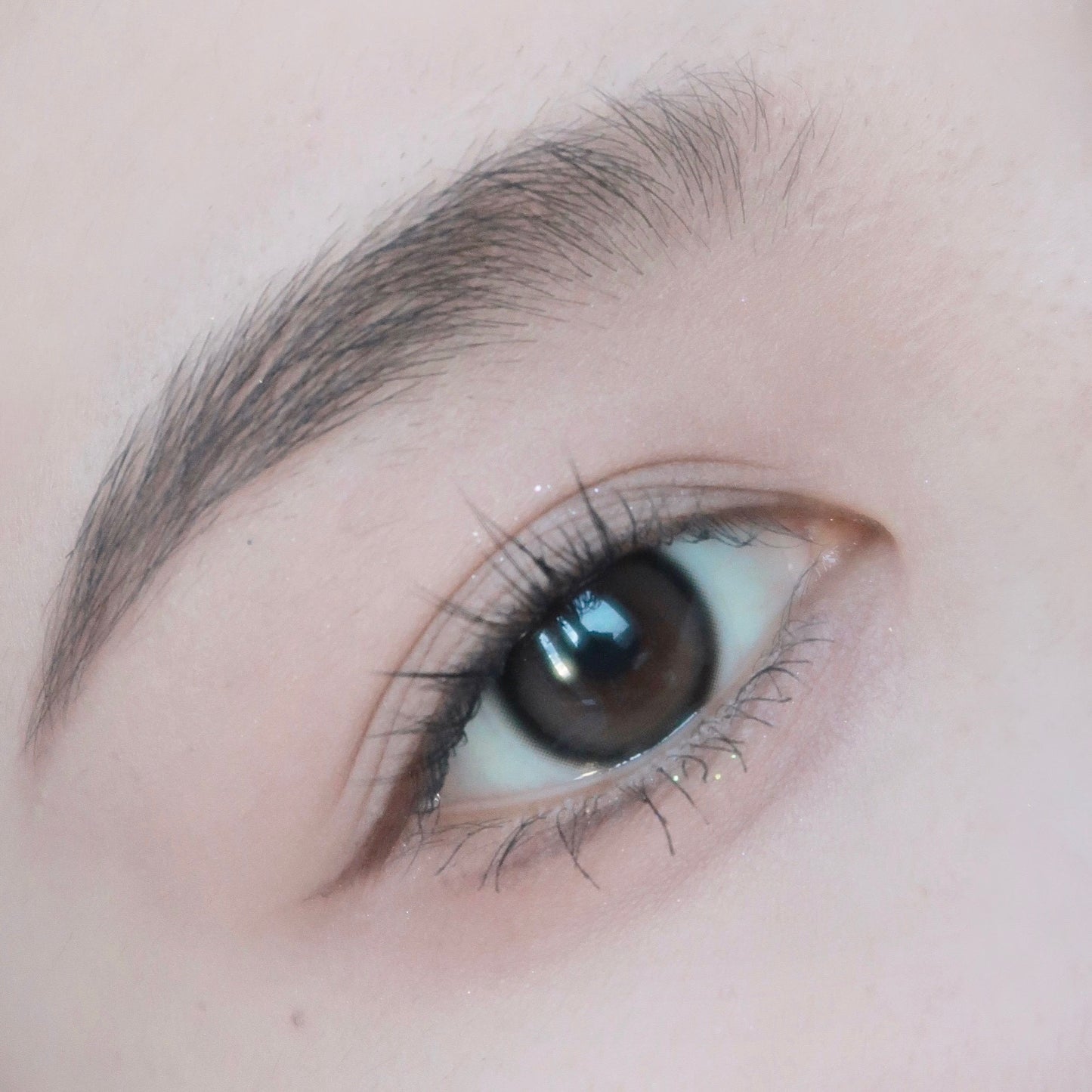 Moriiu Vicky 無難柿