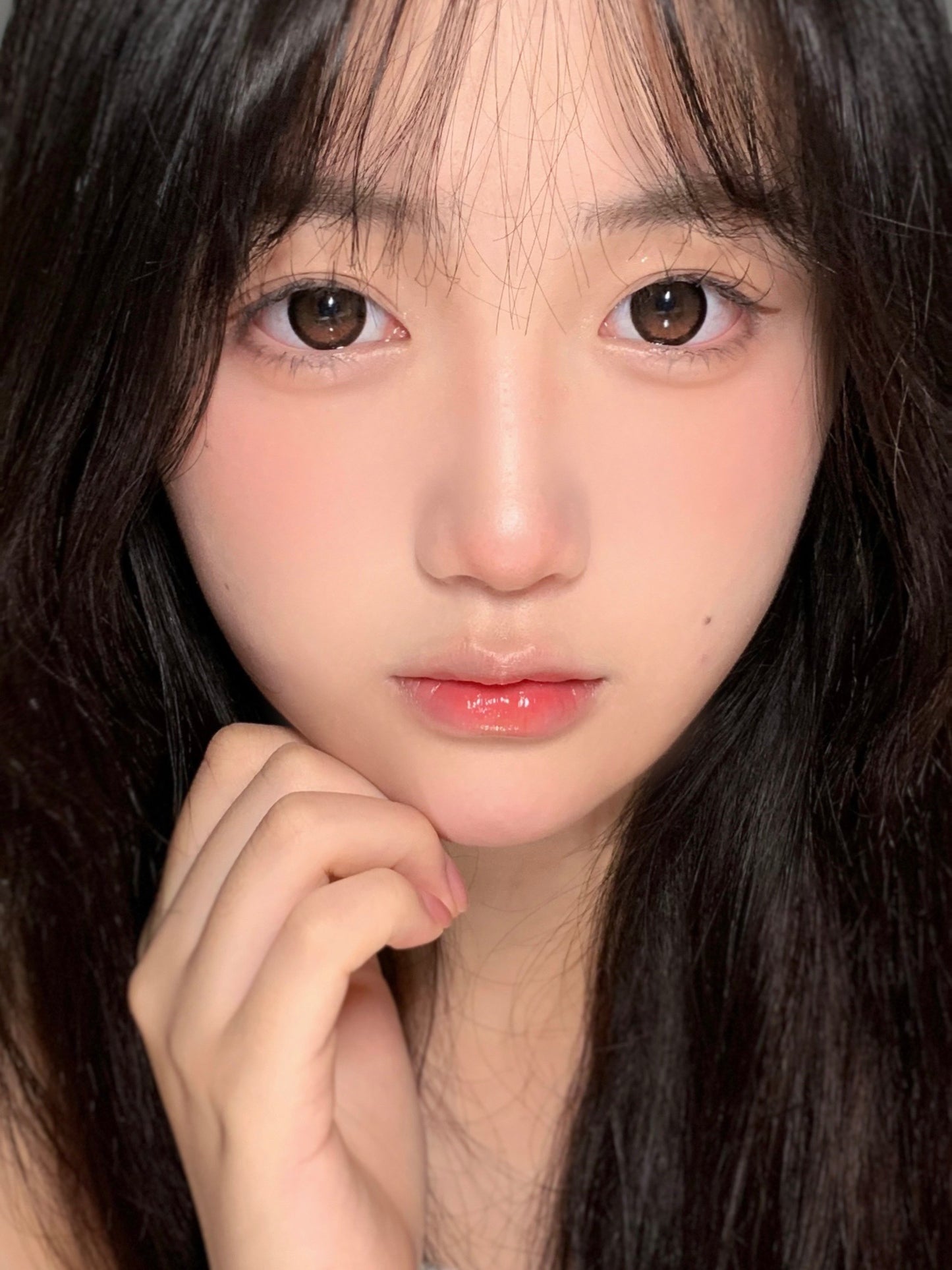 Kumicon Black Brown 半透小橘