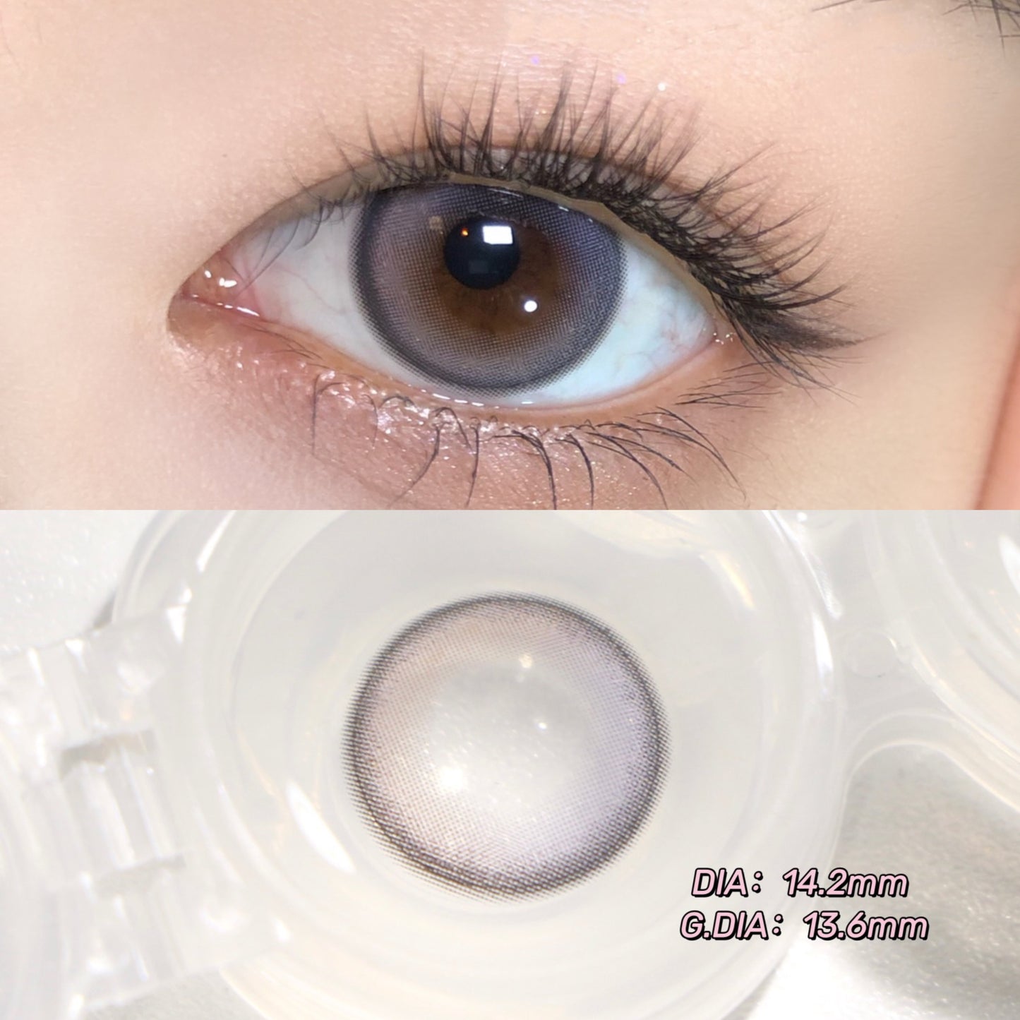 Litchicream Rose Gray 藍石蓮