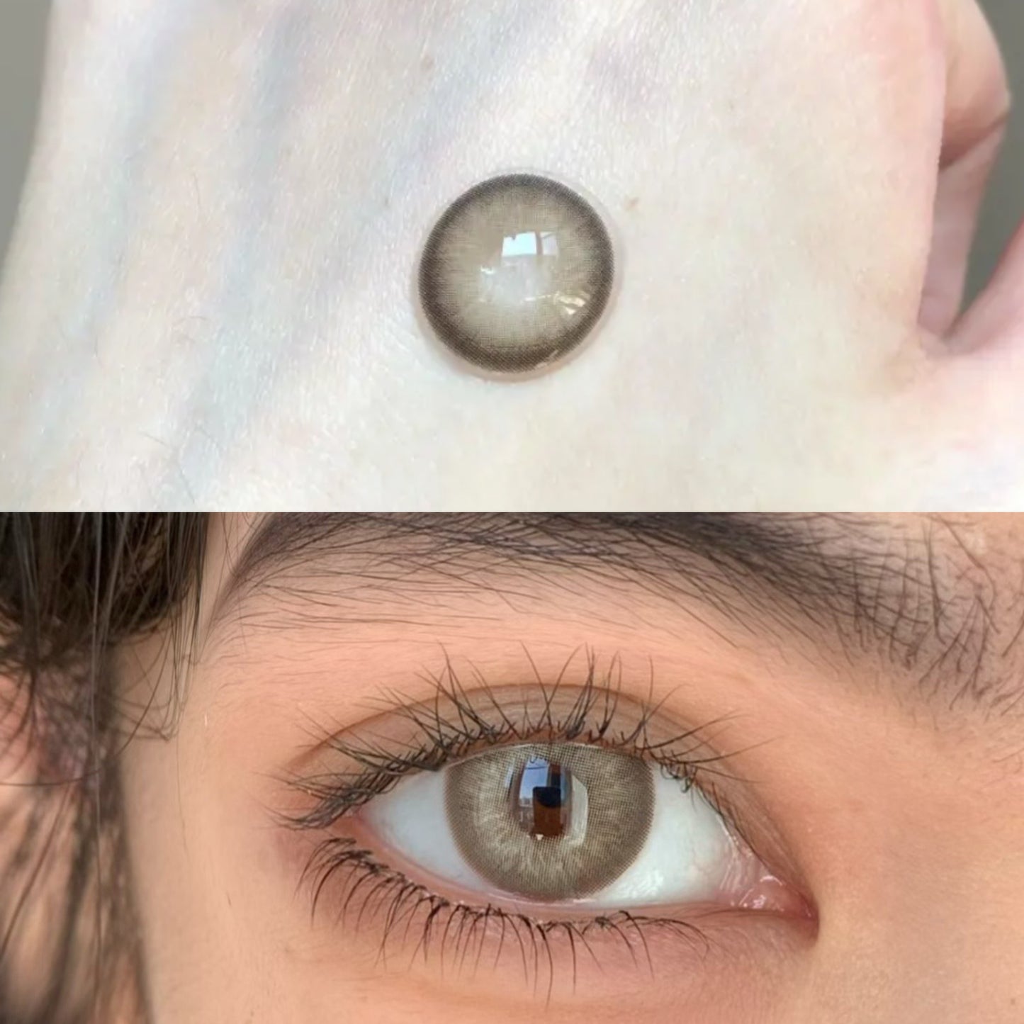 Licheechee Sydney Brown 悉尼棕