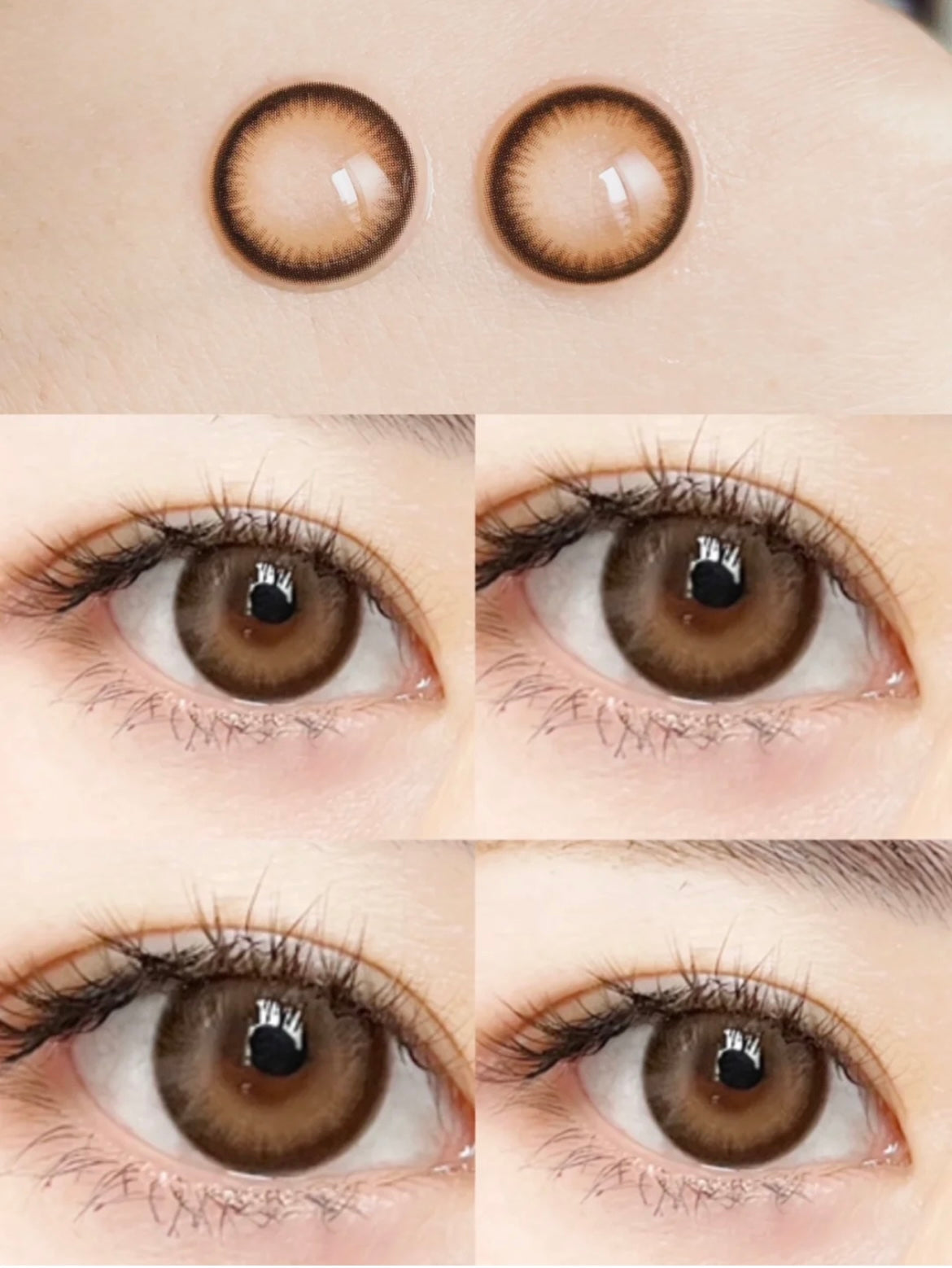 Kamolens Lily Brown 莉莉奶茶棕